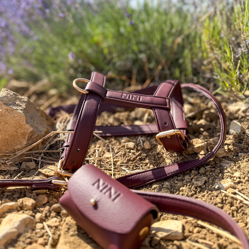 Harnais chien bordeaux - Cuir vegan